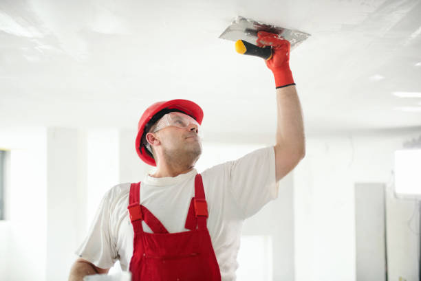 Best Repainting for Renovations  in Mackinaw, IL